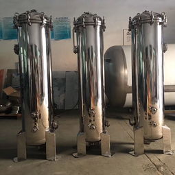 不锈钢精密过滤器 卡箍式法兰吊环 5芯30寸 大流量滤芯式过滤器 预过滤